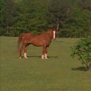 Meet your Posher, Charla